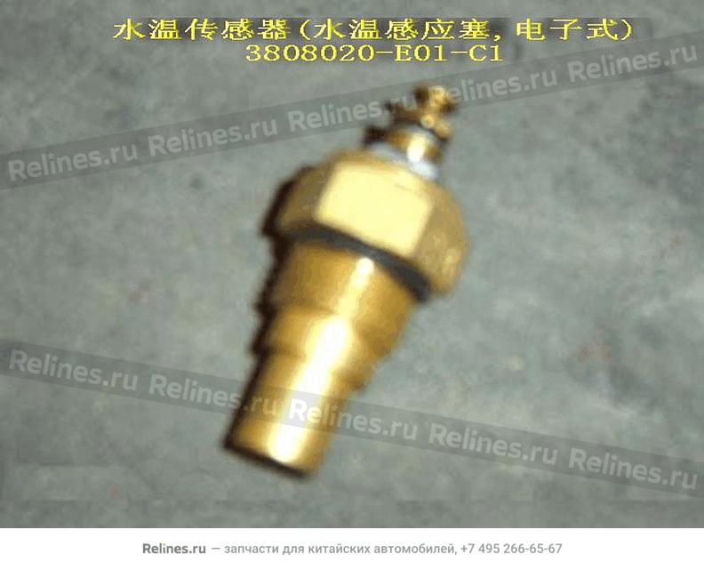 Water temperature sensor assy(elec)