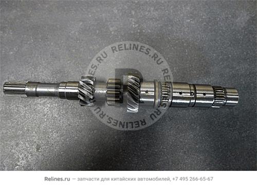 Input shaft