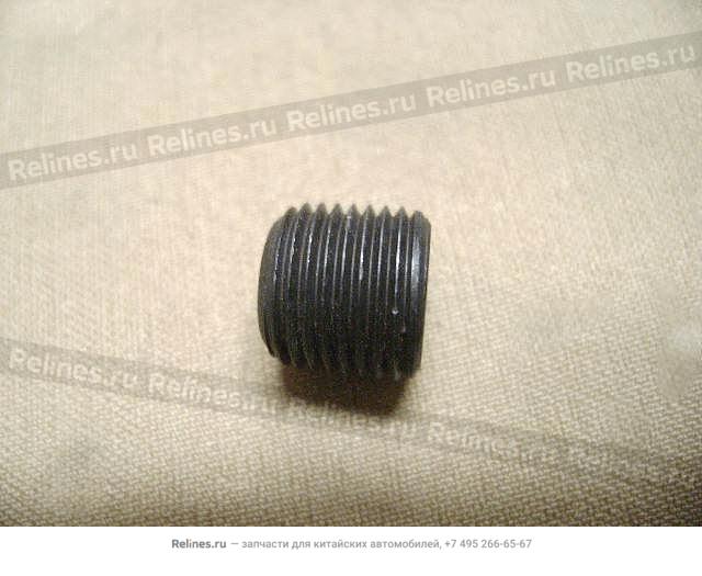 RR oil plug - 1002***E00