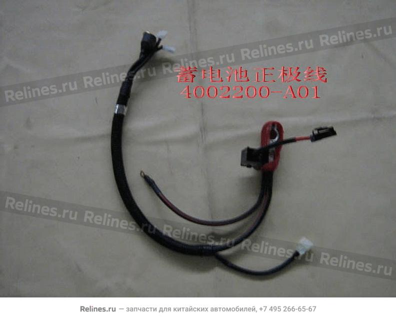 Batt anode harn assy - 4002***A01