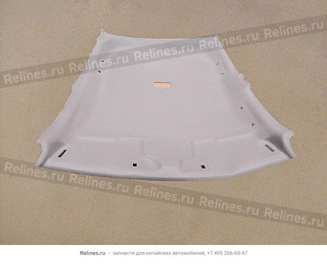 Roof assy - 570210***9XCCD