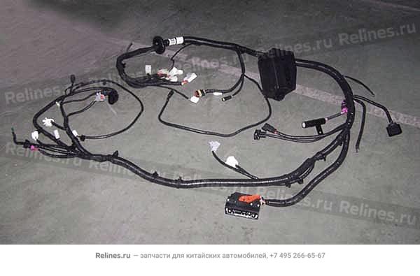 Cable assy - FR chamber