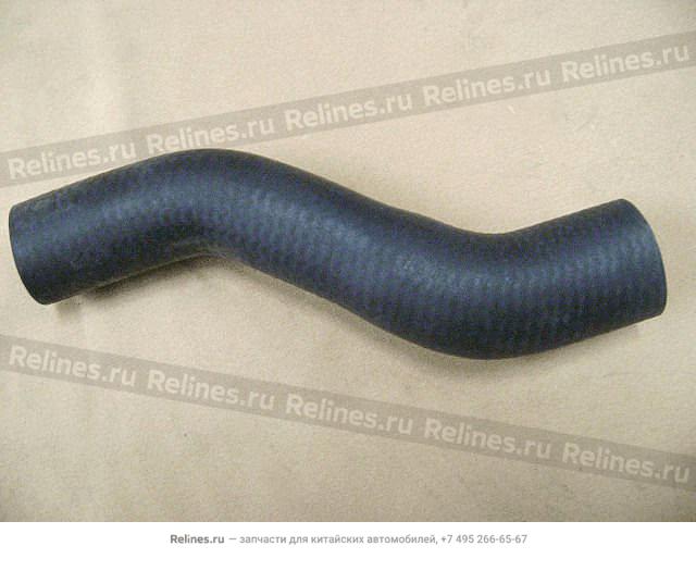 Radiator LWR hose - 1301***D17