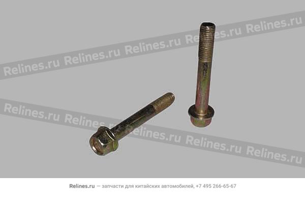 Flange bolt(M10ЎБ65)