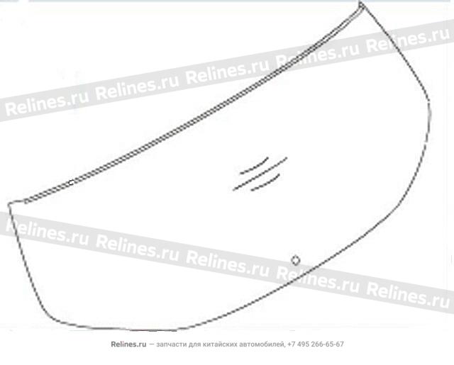 Glass assy-tail door