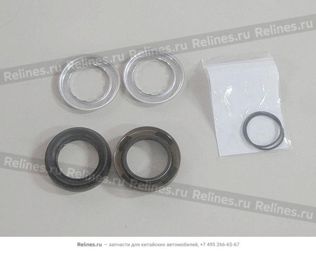 Differential repair kit