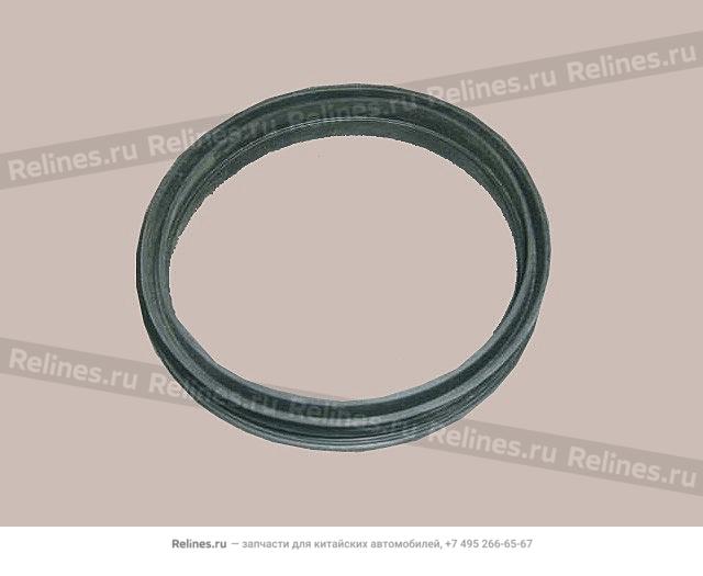 Fuel pump seal ring