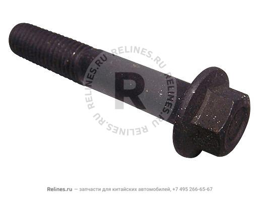 Bolt(M10*60)