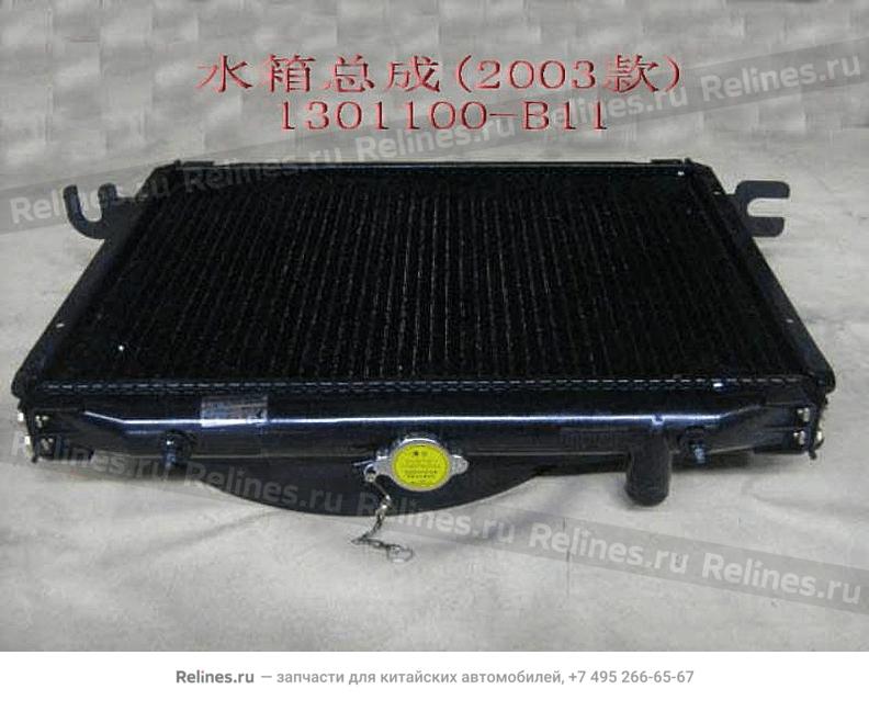 Radiator assy(03)