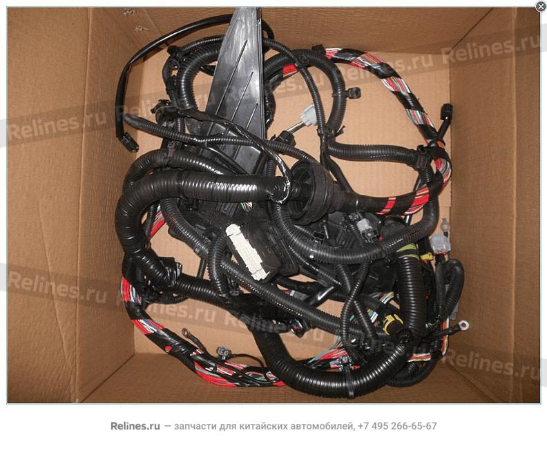 Engine compartment wire harness assy.