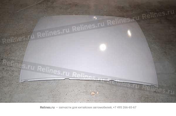 Roof panel assy (electroplated)