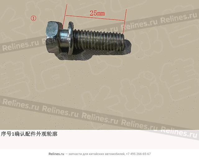 Hex bolt w/washer - ZMQ1***825