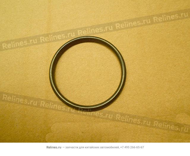 Coupling cover o-ring - 170***73