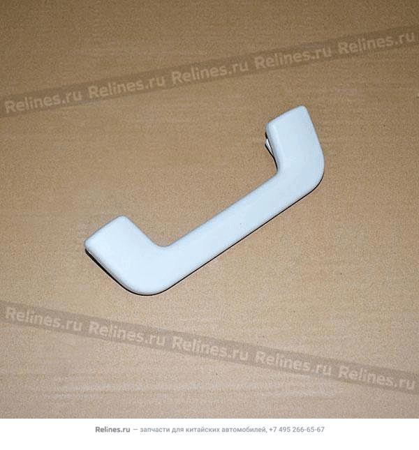 Assist grip assy frt RH