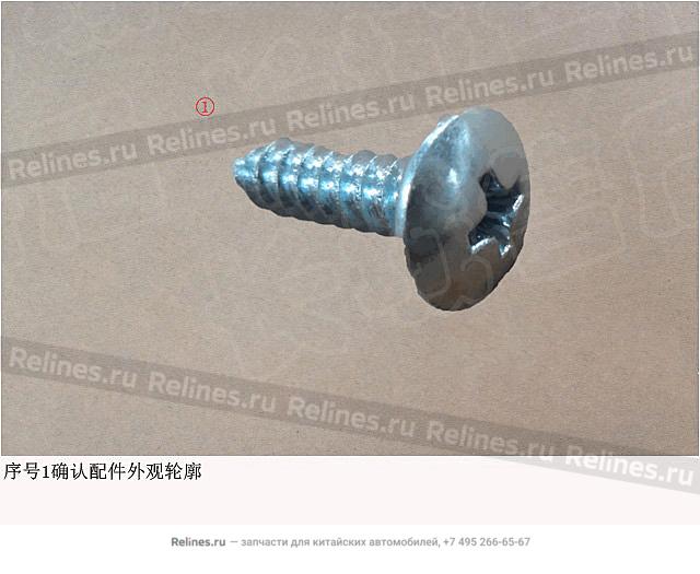 Cross head oval head screw - Q273***F3E