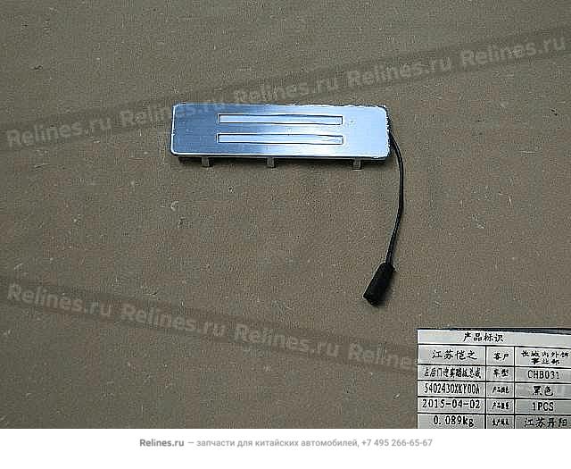 RR door courtecy pedal assy,LH - 54024***Y00A