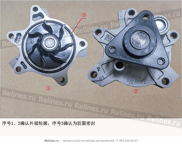 Water pump assy