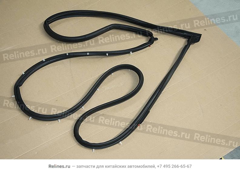 Assy,RF door weatherstrip