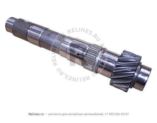 Output shaft