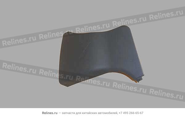 LWR protecting plate-pillar a LH