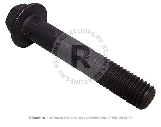 Bolt(M10*60)