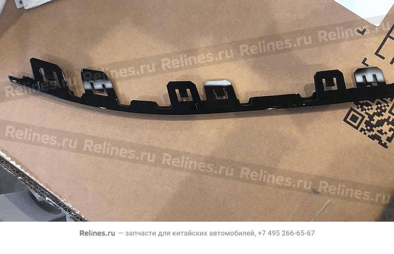 Trim strip-frt bumper LWR RH - 60100***0668