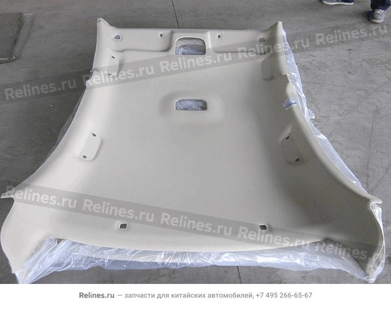 Roof skin interior trim assy. - 106800***00415