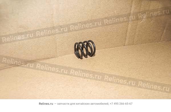 Brake shoe spring