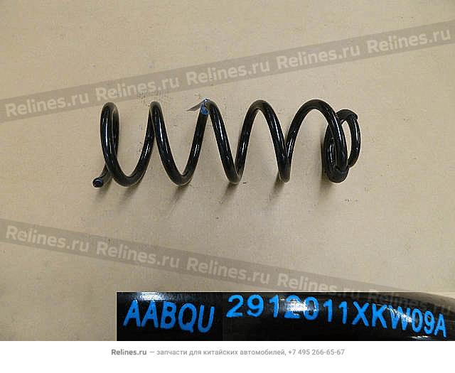 RR coil sprg - 29120***W09A