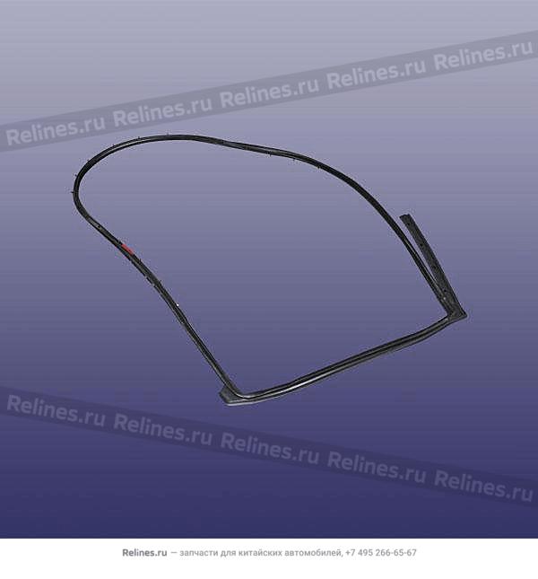 Уплотнитель двери задней правой T19C - 5540***9AA