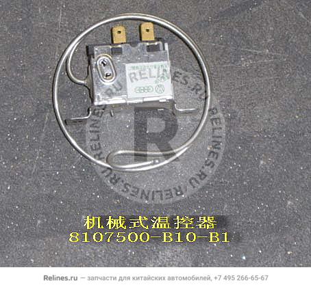 Temperature controller - 81075***10-B1