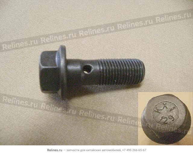 Bolt vvt-positioner - 1021***EG01