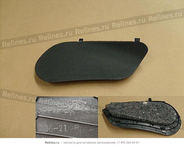 Maintenance cover-tail lamp RH - 540223***8-00CR