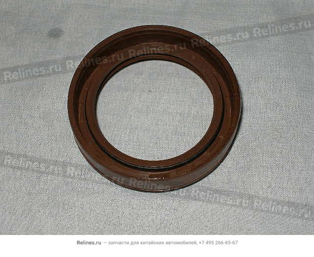 Right oil seal - 317***120