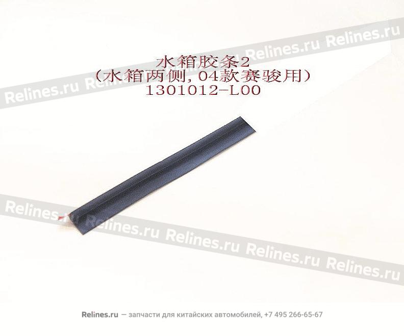 Radiator rub strip(RH/LH side 04) - 1301***L00