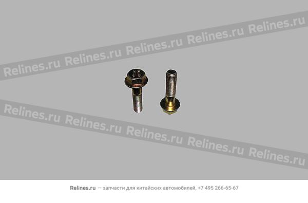 Болт с фиксированной шайбой M10х1.25х40 - q1***40