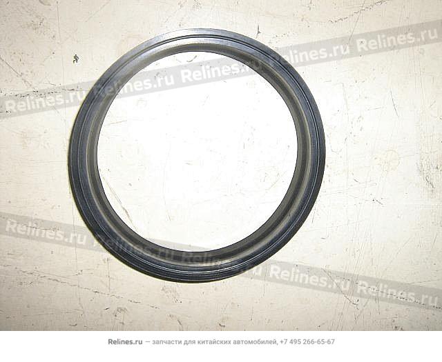 Fuel pump seal ring - 1101***P00