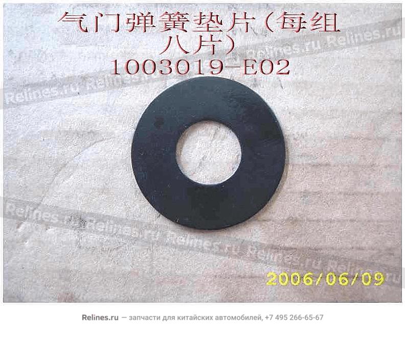 Washer-valve sprg - 1003***E02