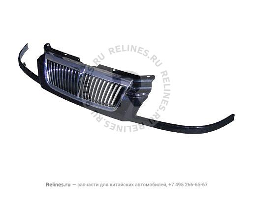 Radiator grid assy