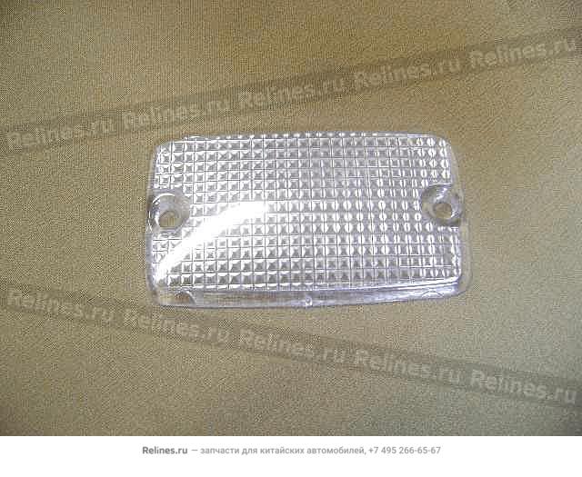 Door lamp cover - 4131***B00