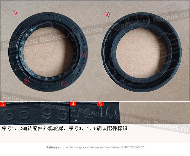 Oil seal assy RR body - 035-***044