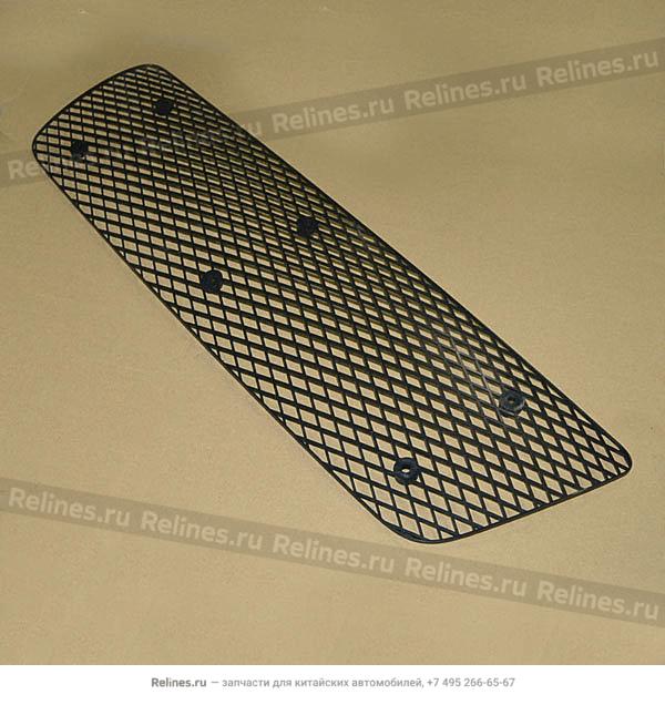 Radiator grille cover