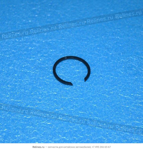 Bearing retaining ring - F621A***1109