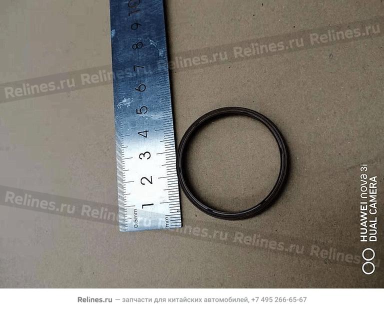 Sealing ring - 306***400