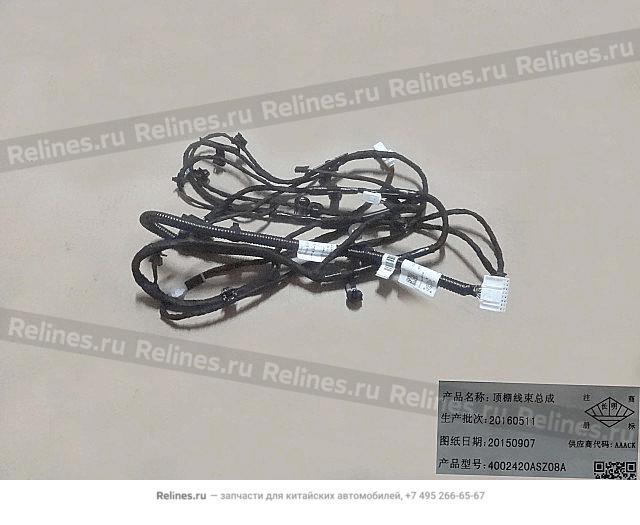 Roof harness assy - 40024***Z08A