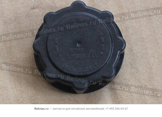 Expansion tank cover - 101***703