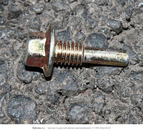 Bolt