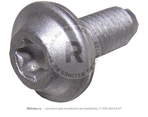 Screw - B11-6***11F6