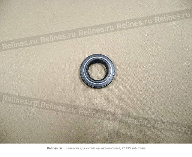 Oil seal-strg gear valve(henglong) - 3401***L00