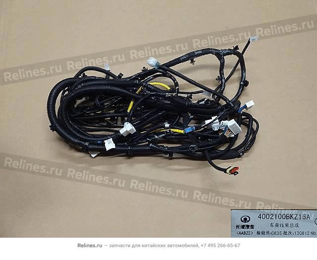 Harness assy body - 40021***Z16A